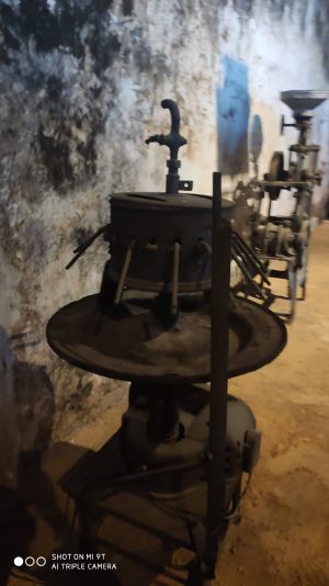 IMG_20210925_105929-1-scaled